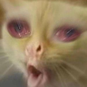 Meet your Posher, Mikaela